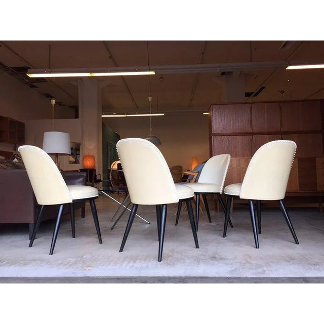 Italian Side Chairs, 1950s, Set of 4 For Sale - Image 3 of 11