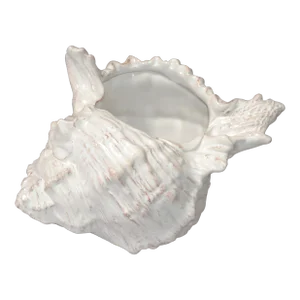 1980s Italian Regency Terra Cotta Glazed Sea Shell Planter Sculpture