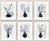 White Bunny Ear Plant Series by Susan Hable, Set of 6 For Sale - Image 8 of 8