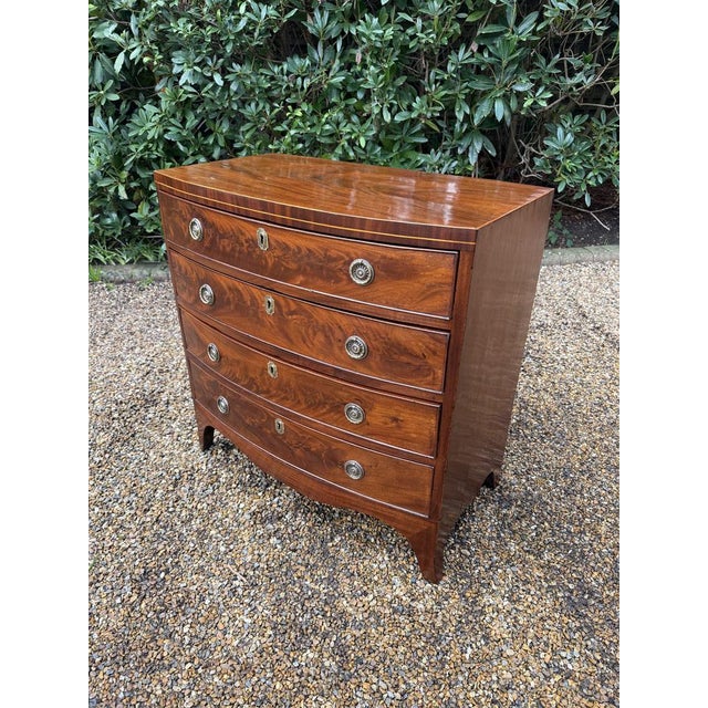 Antique Georgian Mahogany Bow Fronted Chest of Drawers, 1820 For Sale - Image 3 of 12