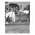 1960s Horse Racing Photograph With Winner Chief Hands H For Sale