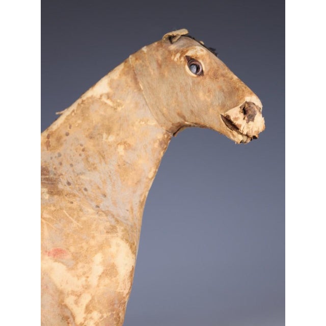 Antique Horse Covered in Genuine Horse Hide with Glass Eyes, 1890 For Sale - Image 15 of 16