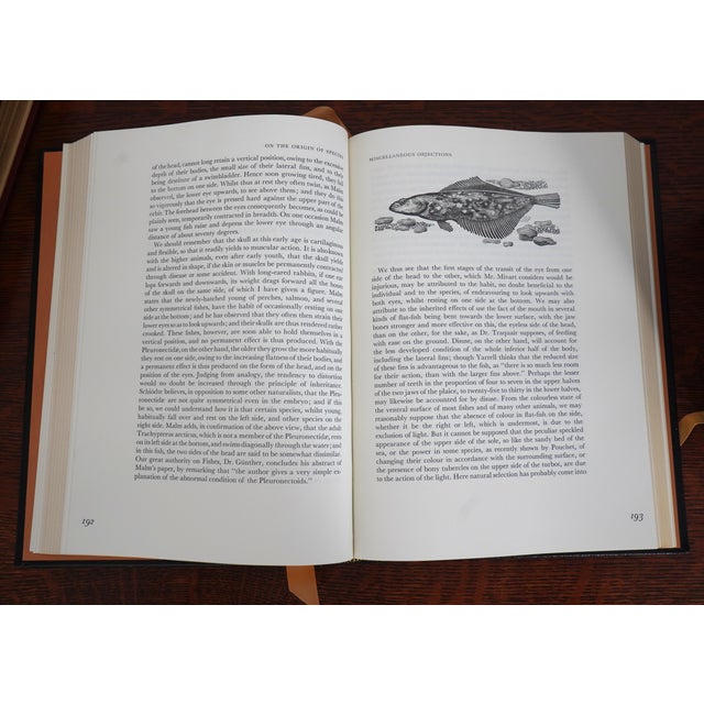 Set of 16 Gold Embossed Leather Bound Books W/ Gilt Edge by the Eaton Press For Sale - Image 10 of 11