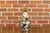 Mid 20th Century French Porcelain Bulbous Table Lamp with Floral Décor on Lucite Base For Sale In Atlanta - Image 6 of 12