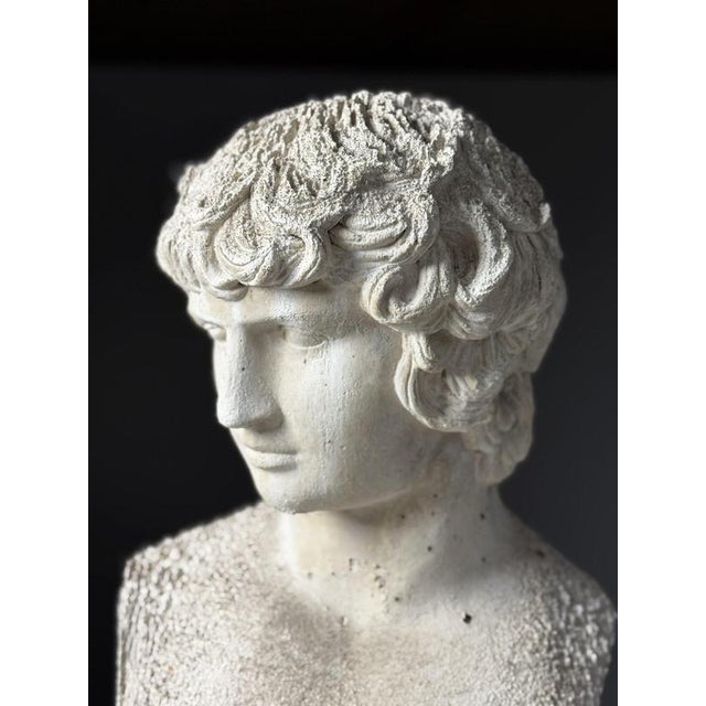Classical Bust of Antinous, 2000s For Sale - Image 17 of 18