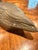 Vintage Brass Duck with detailed engravings to accent its feathers and other features.
