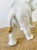Vintage 1980s Huge White & Gold Ceramic Statue With Trunk Up / Blanc De Chine For Sale - Image 9 of 10