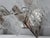 Murano Glass Sconces from Mazzega, 1960s, Set of 2 For Sale - Image 13 of 16