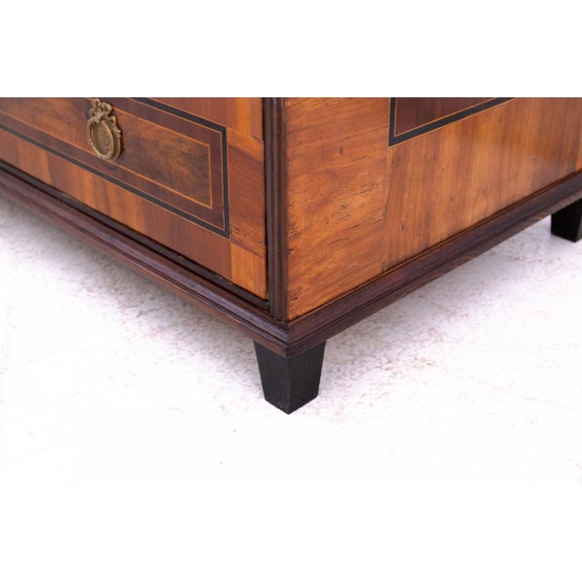 Antique Neo-Classical Chest of Drawers, Germany, 1840 For Sale - Image 15 of 16