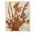 Private viewing invitation, letter and exhibition list for Andy Warhol's gold, silver and early drawings at Anthony...