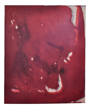 Aimee Parrott, Untitled, 2013, Oil and Acrylic on Canvas