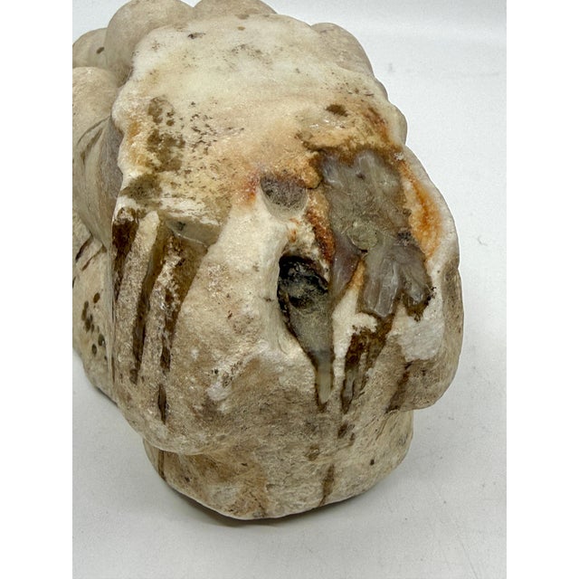 Antique Classical Marble Stone Fragment Lions Claw For Sale - Image 12 of 16