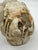 Antique Classical Marble Stone Fragment Lions Claw For Sale - Image 12 of 16