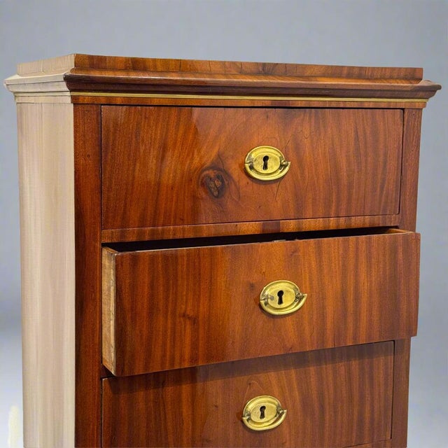 Early 19th Century Pair of Neoclassical Semainieres For Sale - Image 12 of 18