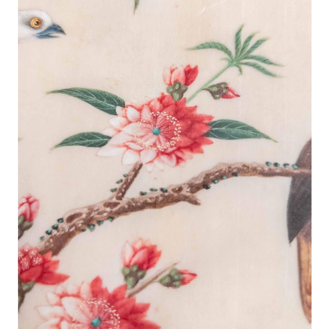 19th or 20th Century Chinese Watercolor Pith Paper Painting of Birds Arguing For Sale - Image 12 of 16