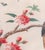 19th or 20th Century Chinese Watercolor Pith Paper Painting of Birds Arguing For Sale - Image 12 of 16