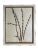 Wood 1895 Framed Antique Herbariums, Set of 20 For Sale - Image 7 of 12