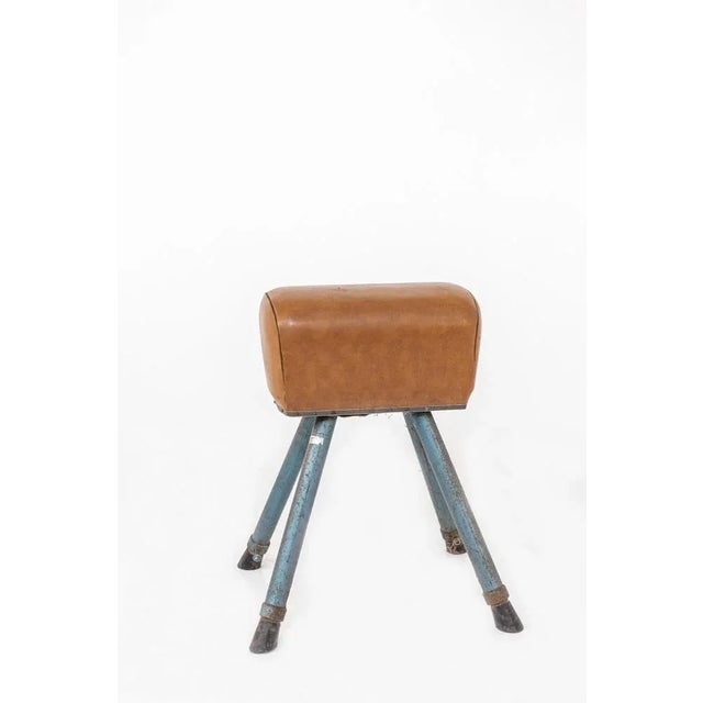 Mid-Century Modern Brown Leather and Varnished Iron Italian Exercise Horse For Sale - Image 3 of 6