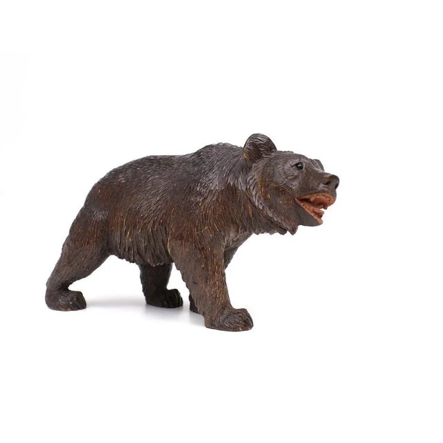 Black Forest Glass Eye Bear, Germany, 1920s For Sale - Image 9 of 9