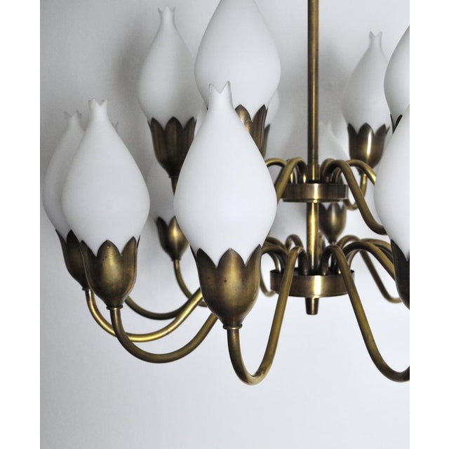 Metal 18-Arm Brass and Opaline Glass Tulip Chandelier from Fog & Mørup, 1950s For Sale - Image 7 of 18