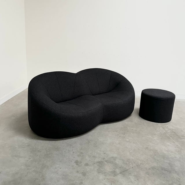 Ligne Roset Pumpkin Two-Seater Sofa and Pouf by Pierre Paulin for Ligne Roset, 2008, Set of 2 For Sale - Image 4 of 16