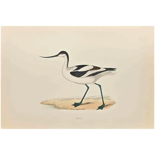 Avocet is a modern artwork realized in 1870 by the British artist Alexander Francis Lydon (1836-1917). Woodcut print on...