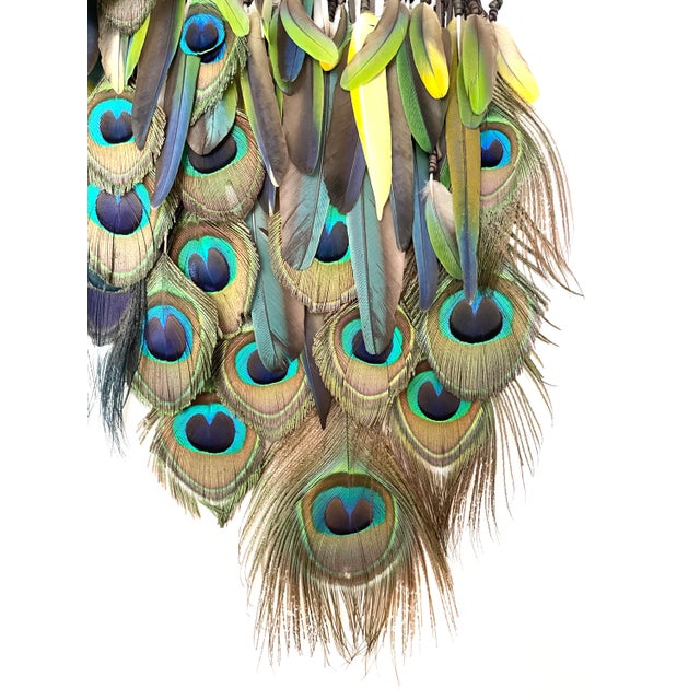 P A R A D I S E No. 1 Kristen Leigh Baker | 2025-2026 Medium: Ethically sourced exotic feathers, hand-wrapped chocolate...