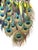 P A R A D I S E No. 1 Kristen Leigh Baker | 2025-2026 Medium: Ethically sourced exotic feathers, hand-wrapped chocolate...