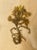 Art Nouveau Antique French Framed Herbarium Mosses Specimen and Blackletter Calligraphy For Sale - Image 3 of 3