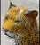 Vintage Large Ceramic Leopard For Sale - Image 6 of 7