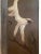 Antique large wooden three panel hand painted folding screen/room divider depicting snow monkeys galavanting in the trees....