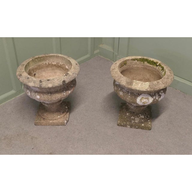 Mid-Century Weathered Cast Stone Garden Planters, 1920s, Set of 2 For Sale - Image 6 of 8