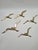 Modernist Brass Wall Seagulls, 1960s, Set of 5 For Sale - Image 3 of 10