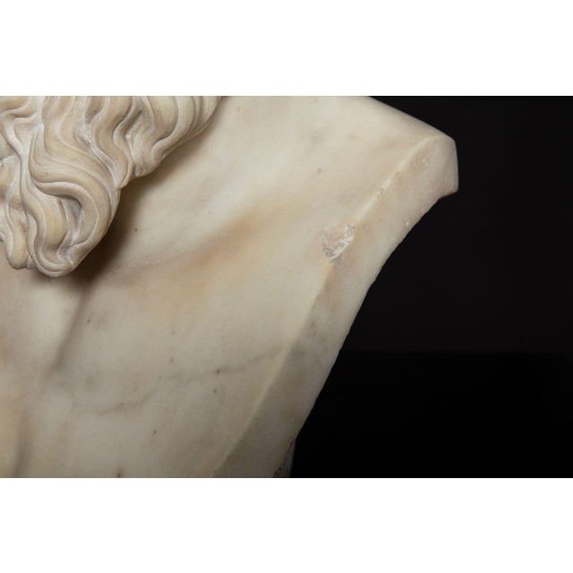 19th Century Antique Italian Grand Tour Marble Bust of Socrates Ca. 1860-80 For Sale - Image 17 of 17