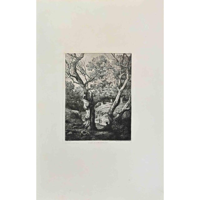Foret De Fontainebleau is an artwork realized by Pontus Cinier in the 1870s. Etching. Good conditions. Realized for the...