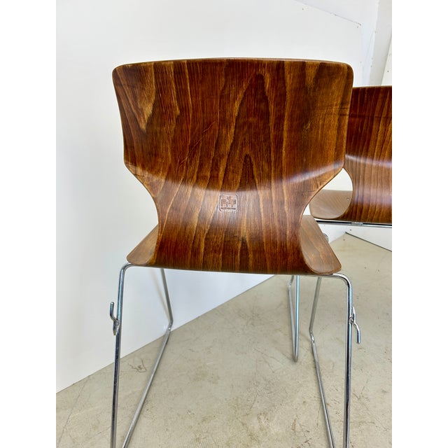 Brown Vintage Pagwood Bentwood Stackable Dining Chairs + Tubular Chrome by Elmar Flototto | Set of 4 For Sale - Image 8 of 12