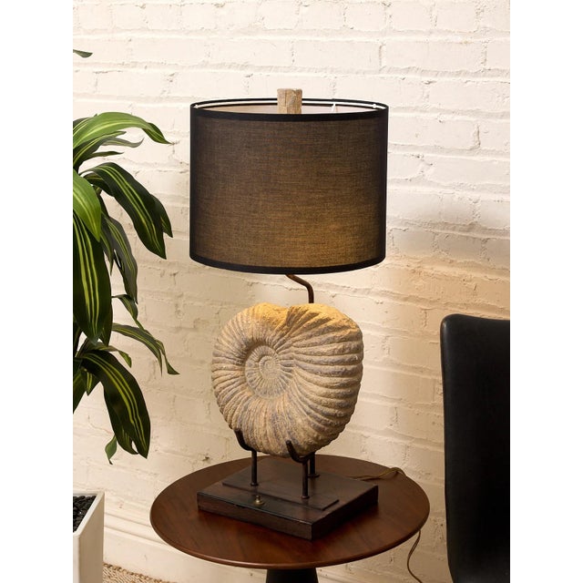 Ammonite Fossil Table Lamp With Black Drum Shade For Sale - Image 4 of 4