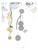 Chinoiserie Monkey Wallpaper Panel, Hand-Gilded Wall Art For Sale