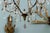 A Swedish eight-light vintage crystal chandelier from the mid 20th century. This Swedish crystal chandelier is going to...