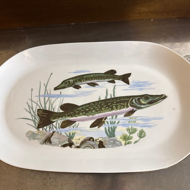 Beautiful vintage Ba Aria porcelain oval fish platter with gold painted rim. Made in Germany. Number 538 is marked on the...