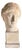 Greco-Roman Artist, Female Bust, 1960, Plaster For Sale