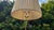 Wooden Table Lamp by Hans-Agne Jakobsson, Sweden, 1960s For Sale - Image 3 of 11