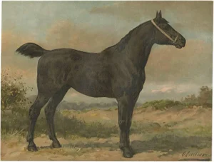 O. Eerelman, Irish Horse, 1898, Paper
