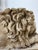 Pair of Neoclassical Recumbent Lion Table Lamps - After Canova For Sale - Image 12 of 15