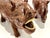 1970s Set of 3 Hand-Carved Solid Wood Rhinoceros Sculptures, Textured Hide, Inlaid Teeth and Toenails For Sale - Image 4 of 18