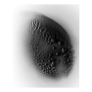 Ugne Pouwell, Sandstill No.8, 2026, Paper, Limited 20 For Sale