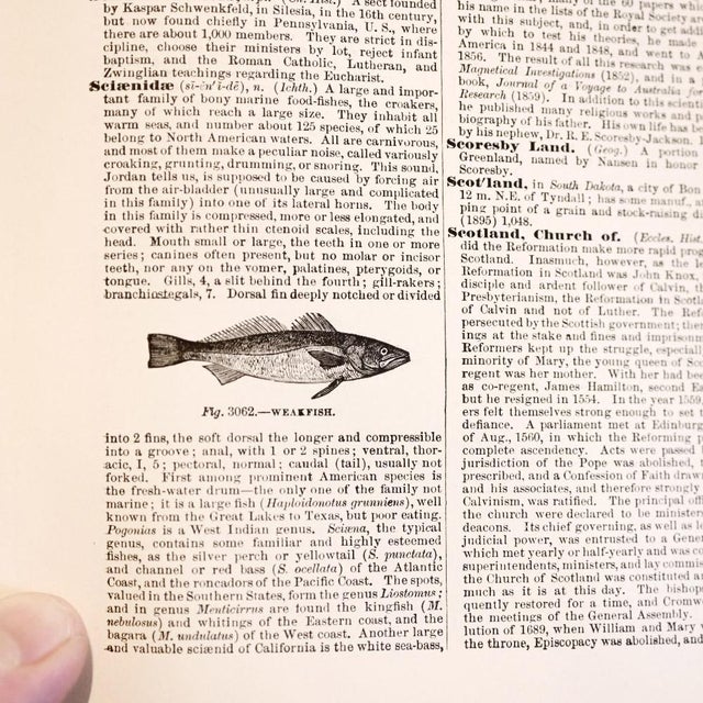 Victorian Full 6 Volume Set of 1896 “Imperial Reference Library: Encyclopedia, Dictionary, and Atlas of the World”. For Sale - Image 3 of 10