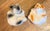 1990s 1990s Trompe-l'Oeil Ceramic Cats in Baskets Salt and Pepper Shakers - a Pair For Sale - Image 5 of 12