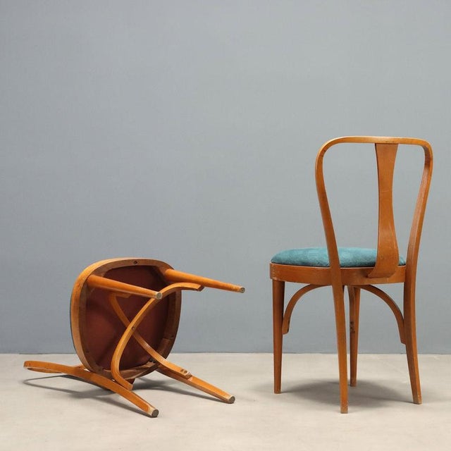 Beech Dining Chairs, 1960s, Set of 6 For Sale - Image 9 of 10