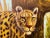 Large Animalia Framed Acrylic Painting of Prowling Jaguar Big Cat 36x24 Canvas For Sale - Image 4 of 10